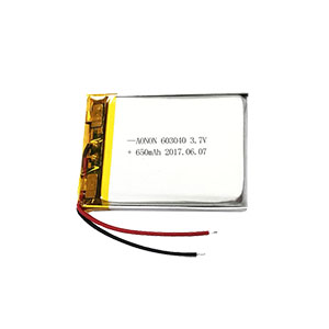 603040-650mAh Early education lithium battery
